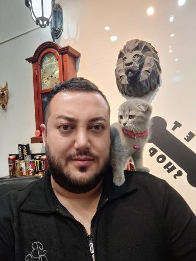 مجموعه پت شاپ گارفیلد