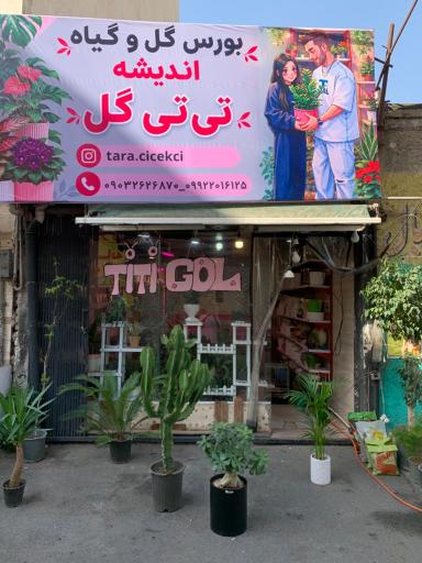 عکس گلفروشی تی تی گل