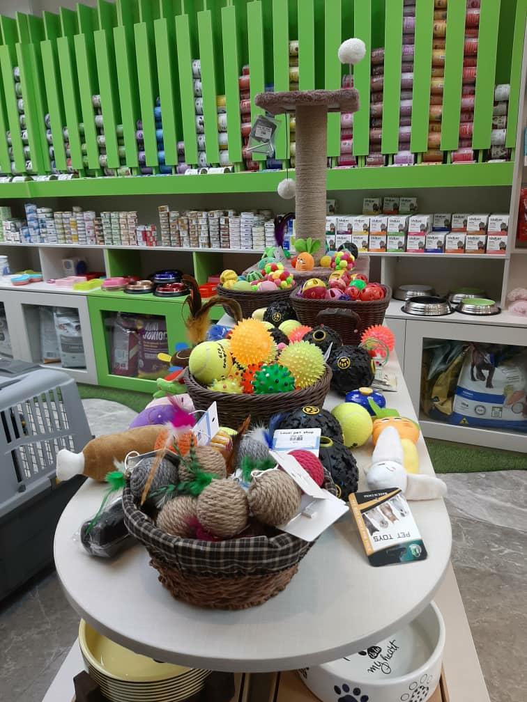 عکس پت شاپ لوسی