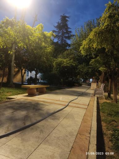 عکس بوستان نارنجستان