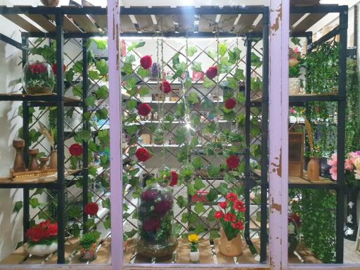 عکس ارزانکده لوکس