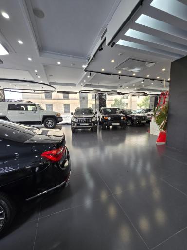 آرکان خودرو (حمید مخلص پور)