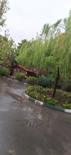 عکس دانشکده شهید شرافت