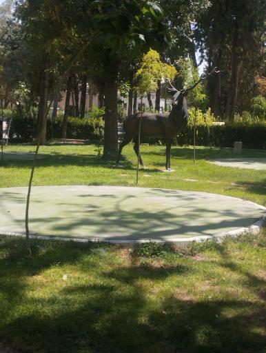 عکس پارک کودک 
