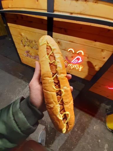 عکس فست فود یامی