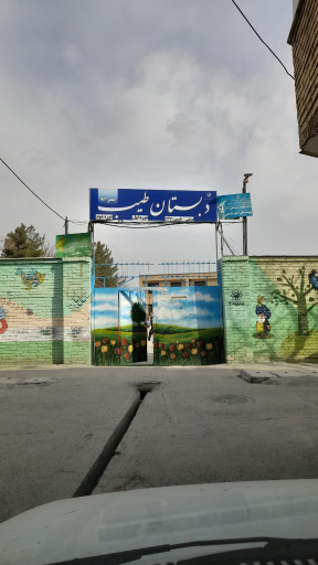 عکس دبستان طیب