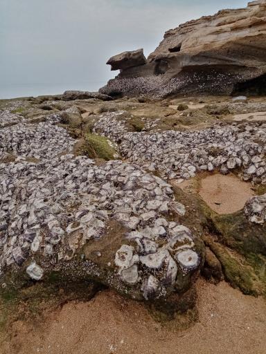 عکس سواحل لیپار