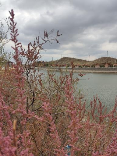 عکس سد امند