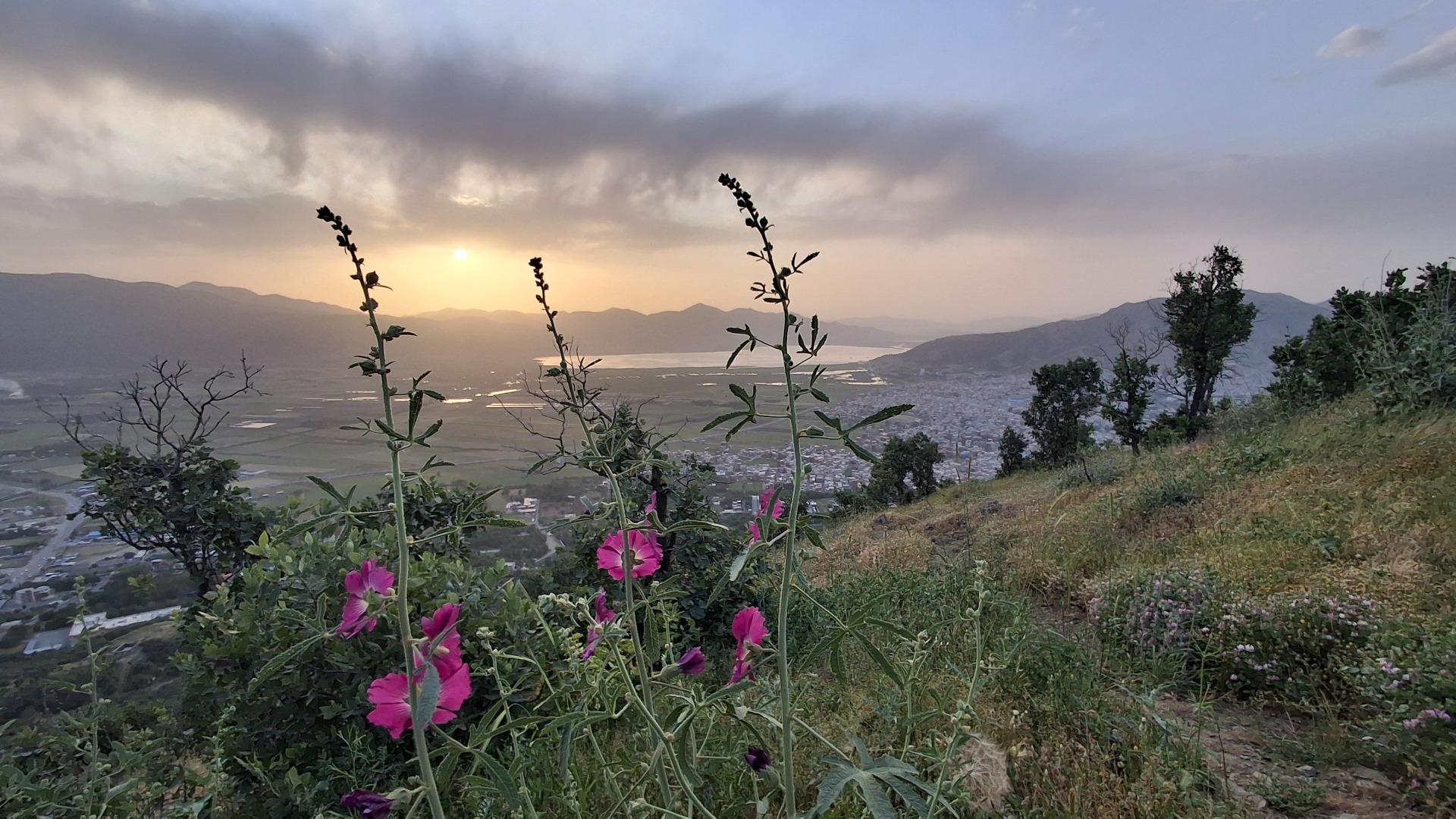 عکس پارک جنگلی ایمام (ییمام)