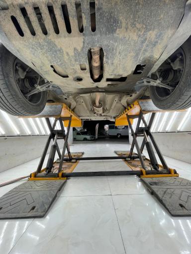 عکس کارشناسی رنگ امیر