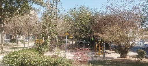 عکس پارک حافظ شیرازی