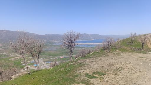 عکس پارک جنگلی ایمام (ییمام)