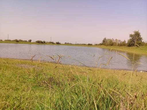 عکس دریاچه