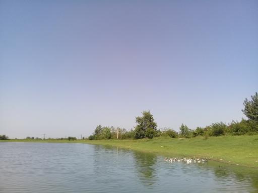 عکس دریاچه