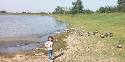 عکس دریاچه
