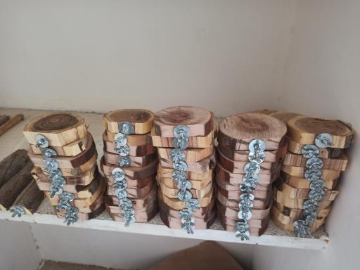 عکس پت شاپ مهری