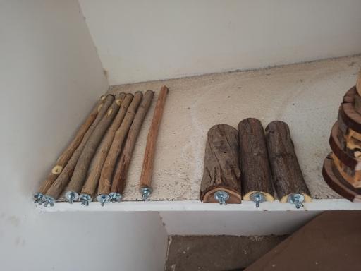 عکس پت شاپ مهری