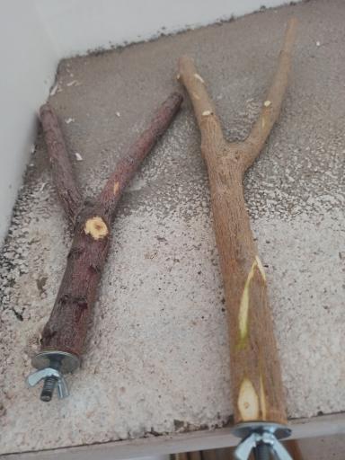 عکس پت شاپ مهری