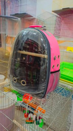 عکس پت شاپ مهری