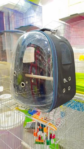 عکس پت شاپ مهری