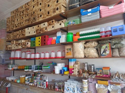 عکس پت شاپ مهری