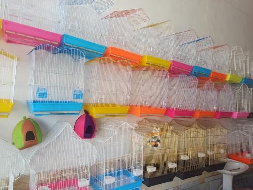 عکس پت شاپ مهری