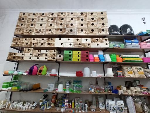 عکس پت شاپ مهری