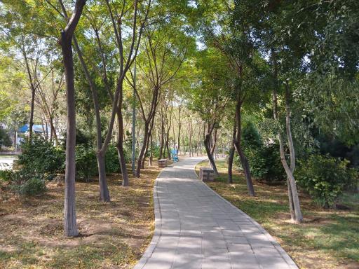 عکس پارک یاس