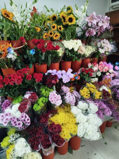 عکس گلفروشی رز مریم