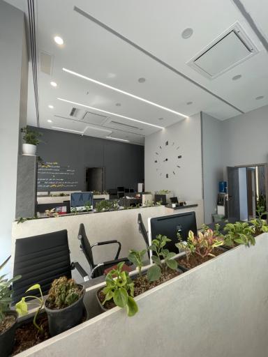 عکس املاک زیما