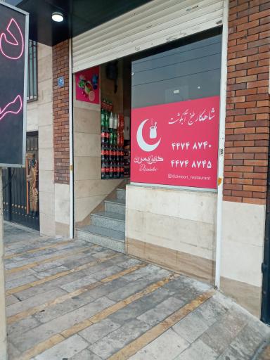 عکس دیزی مون 