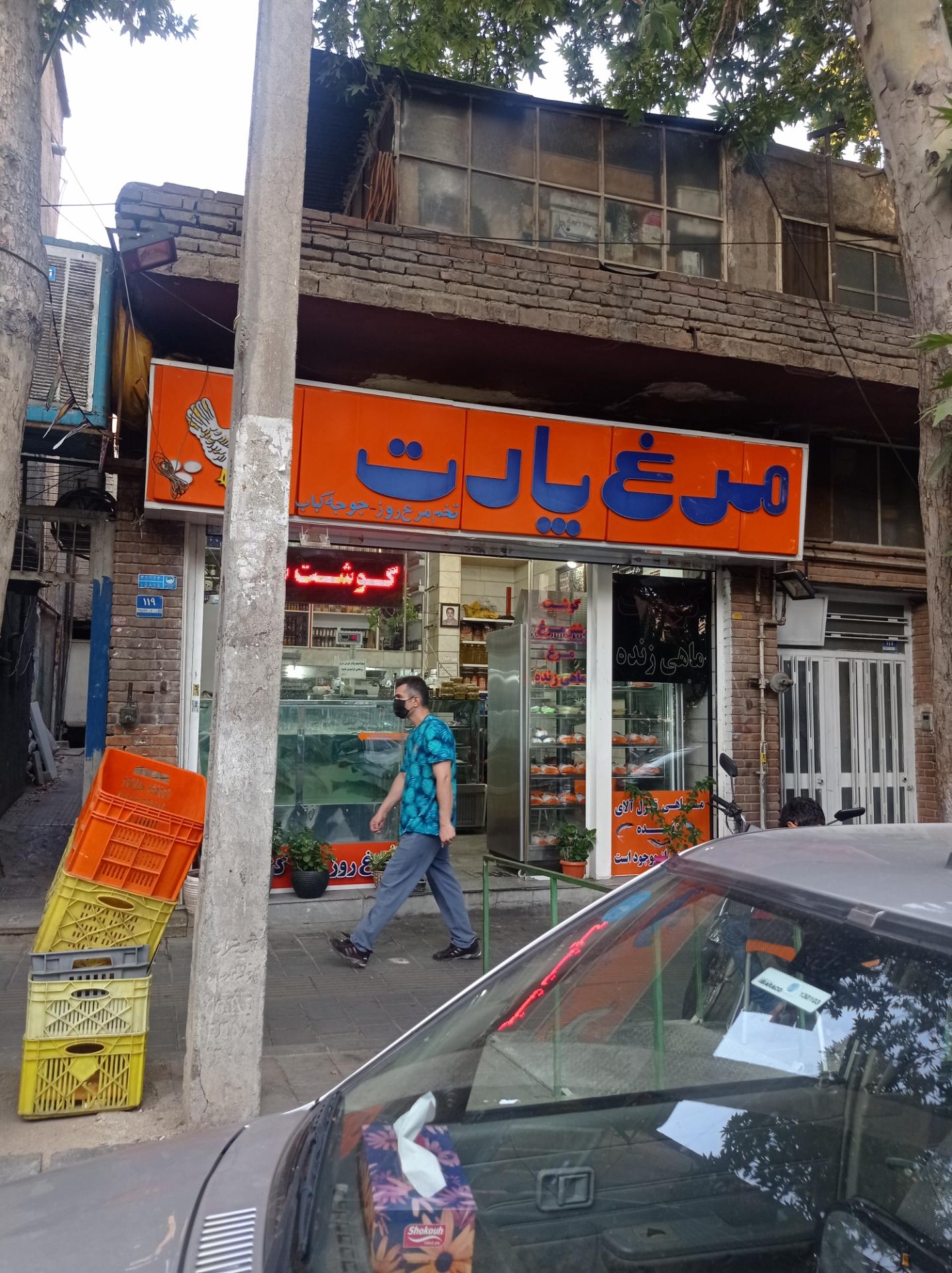 عکس مرغ و گوشت و ماهی  پارت