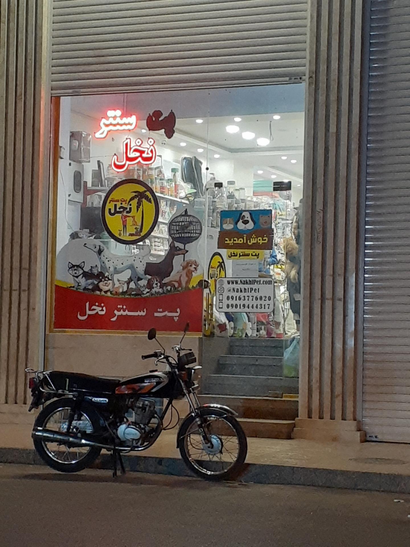 عکس پت سنتر نخل