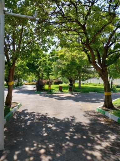 عکس پارک پلیس(پرواز)