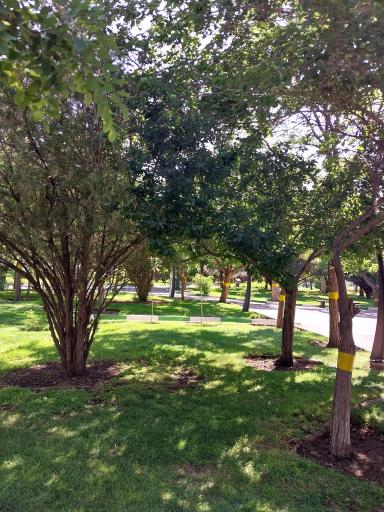 عکس پارک پلیس(پرواز)