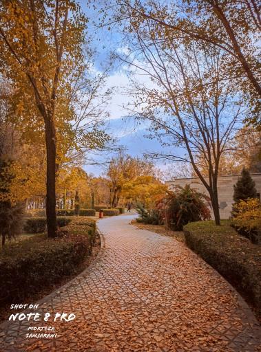 عکس پارک لاله