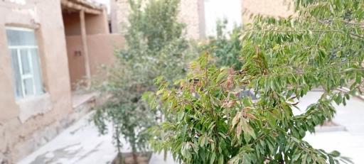 عکس اقامتگاه بومگردی کاوه آهنگر چادگان 