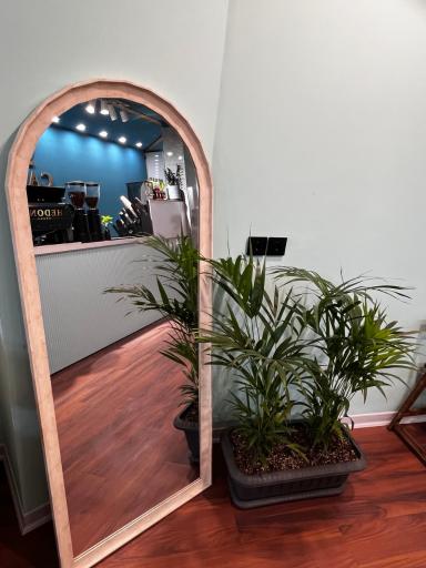 عکس کافه بلا