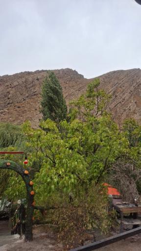 عکس رستوران و مجموعه گردشگری باغ سالار