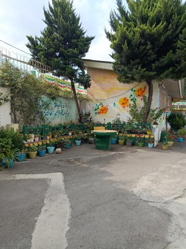 عکس دبیرستان دخترانه شیوا