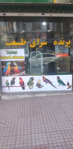 عکس پرنده فروشی طبیعت