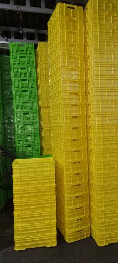 عکس کارخانه سبد سازی لرانتیک