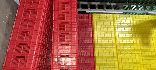 عکس کارخانه سبد سازی لرانتیک