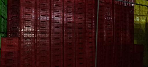 عکس کارخانه سبد سازی لرانتیک