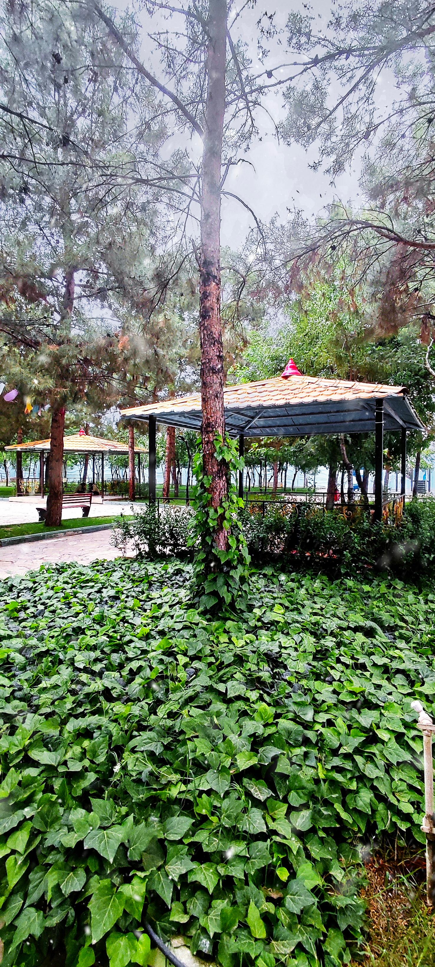 عکس بوستان کوثر (پارک بانوان)
