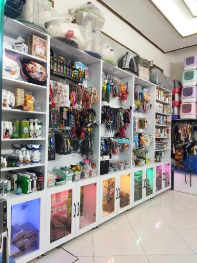 عکس پت شاپ یارا