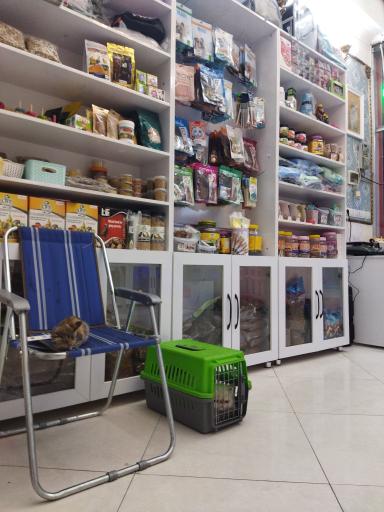 عکس پت شاپ یارا