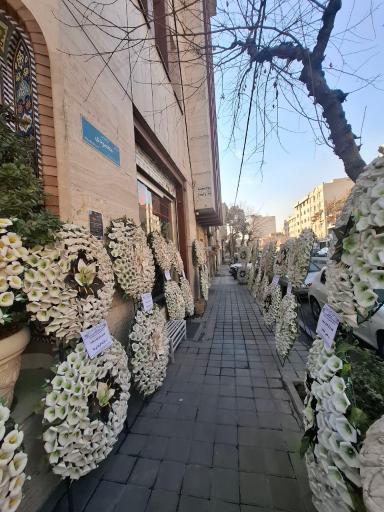 عکس مسجد وزوانیها
