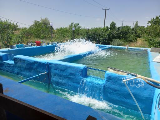 عکس کافه رستوران بابک بیانگر