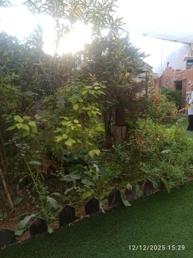 عکس باغ رستوران هفت خوان